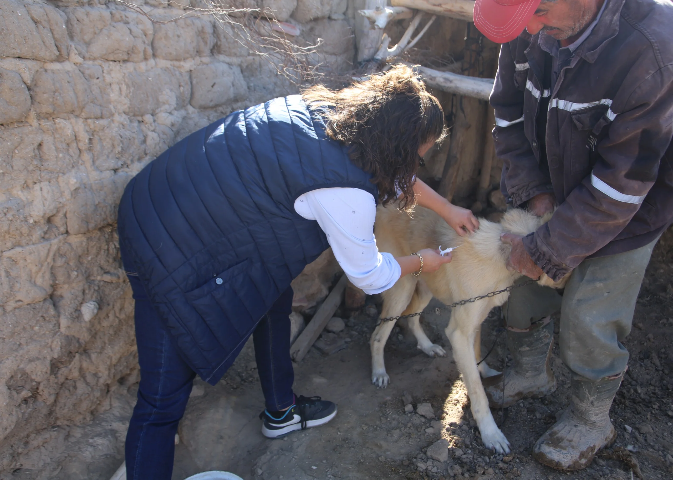 TÜRKİYE’YE ÖRNEK OLAN PROJEDE İLK ADIM