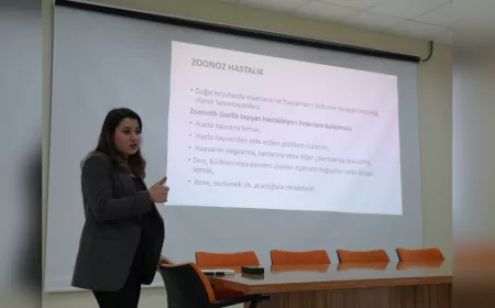 TEORİK EĞİTİM TAMAMLANDI SIRADA PRATİK VAR