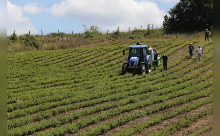Kocaeli Büyükşehir Belediyesi’nden tarıma tam destek; 1 yılda 235 milyonluk 11 proje hayata geçti