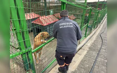 BAŞKAN KÖSE; "CAN DOSTLARIMIZ İÇİN MAMA ÜRETİMİNDE KAPASİTEYİ 5 KAT ARTIRDIK"