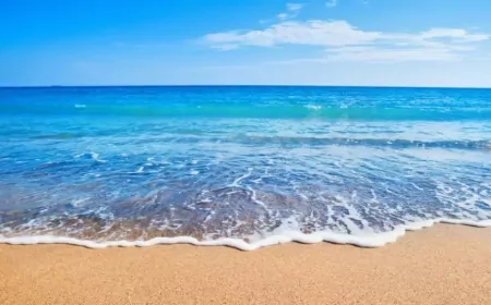 Marmaris’e Gelen Turistlerden Kent Vergisi Alınacak!