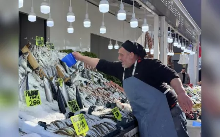 Balıkçılar Yeni Yerinde