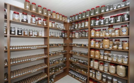 Muğla’nın Tohumları Türkiye’nin Topraklarıyla Buluşuyor