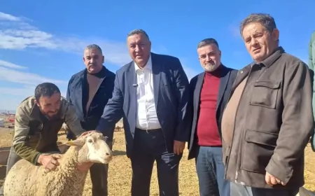 CHP Niğde Milletvekili Gürer: 'Hayvancılık Desteksiz Kaldıkça Kriz Derinleşiyor'