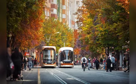 KAMUOYUNUN DİKKATİNE  DOLANDIRICILARA DİKKAT!