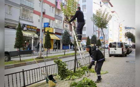 YEŞİLİMİZİ KORUYOR, ŞEHRİMİZİ GÜZELLEŞTİRİYORUZ
