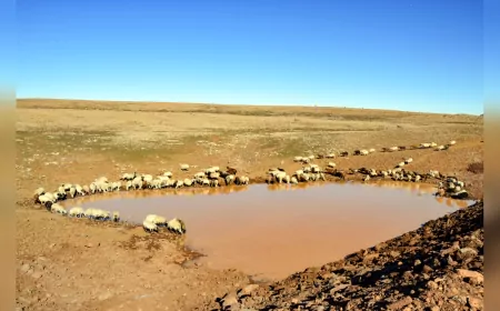 Büyükşehir Belediyesinin yaptığı gölet 7 bin hayvanın içme suyunu karşıladı
