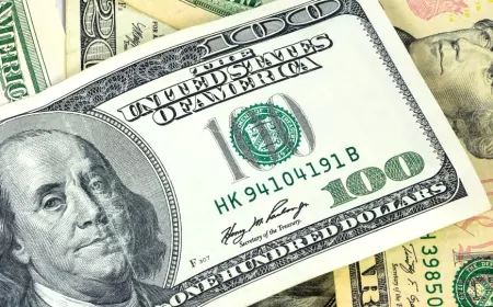 Serbest Piyasada Döviz Kurları Yükselişte: Dolar, Euro ve Sterlinin Güncel Durumu