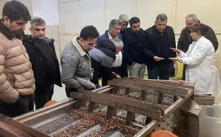 Siirt’ten Gaziantep’e Organik Fıstıkçılığı Geliştirme Gezisi