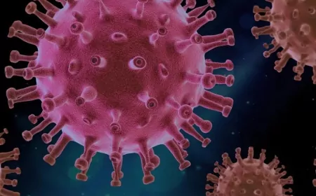 Çin’de Yeni HMPV Salgını Alarmı: Türkiye’de HMPV Var mı? Uzman Yanıtladı