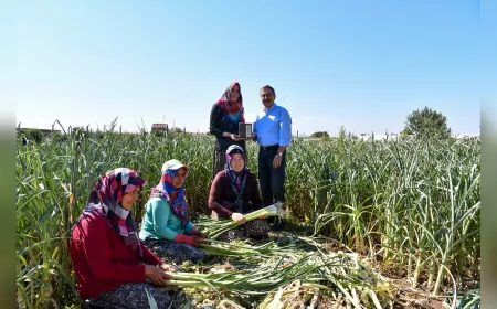 TEPEBAŞI ÜRETİCİNİN YANINDA