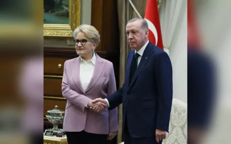 Meral Akşener’in Cumhurbaşkanı Yardımcısı Olacağı İddialarına Danışmanından Yanıt