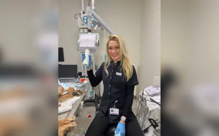 Diş Röntgeni Çektirmiyorsanız, Köpeğinizi Eve Hasta Götürüyor Olabilirsiniz!