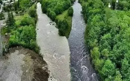 Aragvi Nehirleri: Gürcistan’ın Siyah ve Beyaz Doğal Harikası