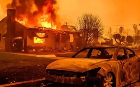 California'daki Orman Yangınlarında Ölü Sayısı 28'e Çıktı, Yeni Yangınlar Başladı