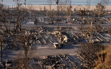 Los Angeles'ta Yangın Sonrası Kaos: Yağma Korkusu ve Silahlı Devriyeler