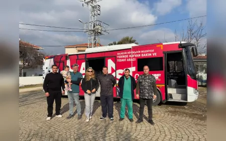 “Can Dost” Sokak Hayvanlarına Şifa Dağıtmaya Devam Ediyor