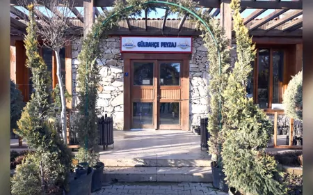 GÜLBAHÇE PEYZAJ VE ÇİÇEK SATIŞ EVİ’NDE MEYVE FİDANLARI SATIŞI BAŞLADI