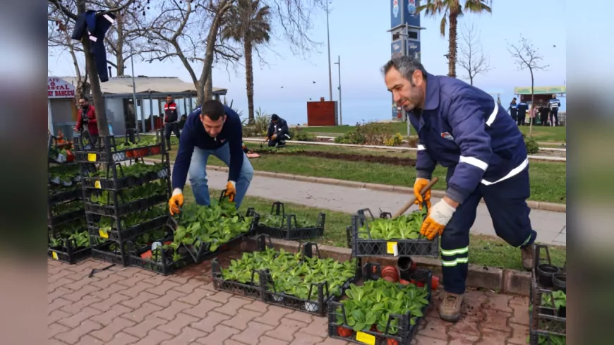 Akasya Park'ta Çiçek Ekim Çalışması