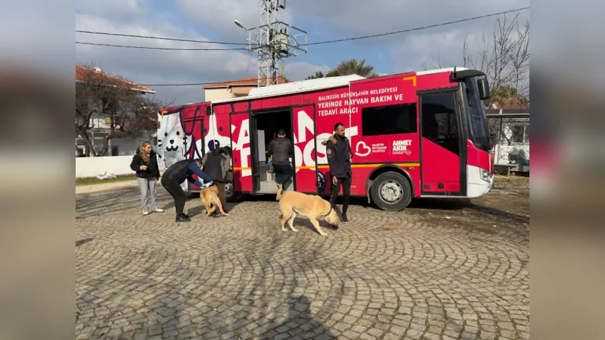 “Can Dost” Sokak Hayvanlarına Şifa Dağıtmaya Devam Ediyor