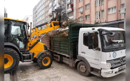 Büyükşehir Ekipleri Sömestir Tatilinde Ağaç Budama Çalışmalarını Yoğunlaştırdı