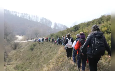 Yalova Belediyesi, Höyüktepe-Sugören Doğa Yürüyüşü ile Doğa Tutkunlarını Buluşturdu