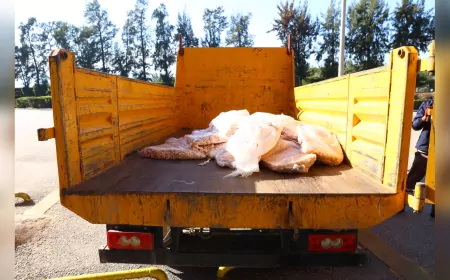 Zabıta Ekipleri, 300 Kilogram Usulsüz Sakadata El Koydu