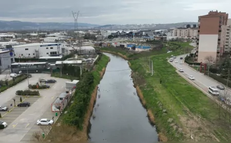 Başkan Bozbey’in Çağrısı Sonuç Verdi: Nilüfer Çayı İçin Temizlik Seferberliği