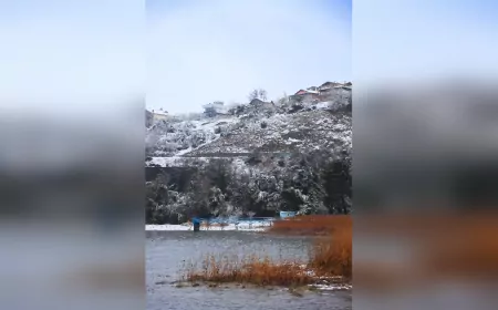 Beyaz Rüya: Sapanca Gölü'nde Su Seviyesi Yükseldi, Eşsiz Manzaralar Ortaya Çıktı