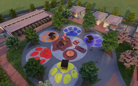 Sakarya'da Sokak Hayvanları için Doğal Yaşam Kampüsü Projesi İçin İhaleye Çıkılıyor