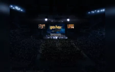 Harry Potter ve Felsefe Taşı Orkestra Eşliğinde Canlı Performansla Sahneye Çıkıyor
