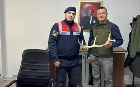 Eskişehir’de Geyik Boynuzu Satışına Jandarma Engeli