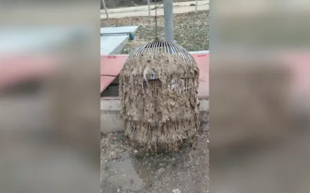 Bilecik Belediyesi'nden Tuvalet ve Lavabo Giderlerine Atık Atılmaması Uyarısı
