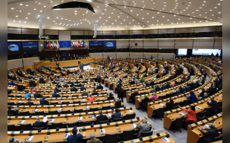 Avrupa Parlamentosu, Türkiye'deki Kayyum Atamalarını Kınadı ve Siyasi Baskılara Dikkat Çekti