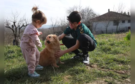 Alex Yeni Yuvasına Kavuştu: Patilik Mutlu Sokak Hayvanları Kasabası’ndan Yeni Bir Sahiplenme