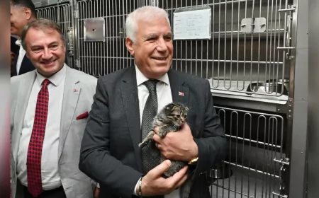 Bursa Büyükşehir’den Sokak Hayvanlarına Özel Proje