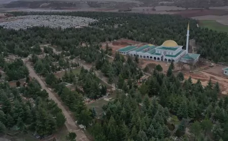 Eskişehir Büyükşehir Belediyesi 2025 Yılı Mezar Yeri Ücret Tarifesini Güncelledi