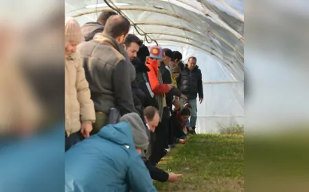 Balıkesir Büyükşehir Belediyesi’nden Zeytin Yetiştiriciliği Kursu ile Bereketli Adımlar