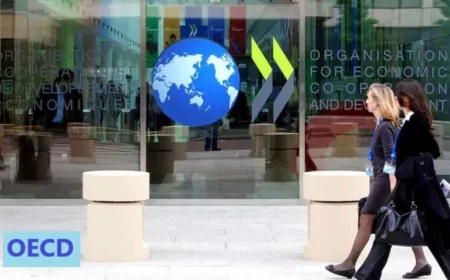 OECD: Kalkınma Finansmanında Büyük Revizyon Şart, Aksi Halde Açık 6,4 Trilyon Dolara Ulaşabilir