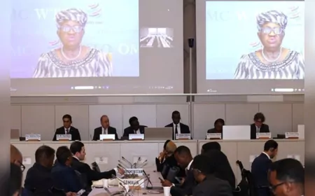 DTÖ: Çatışmalara Karşı En Etkili Yol "Barış için Ticaret Programı"