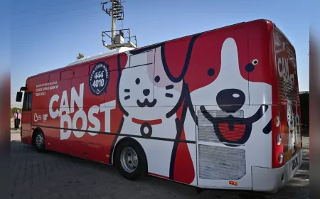 Balıkesir’de Sokak Hayvanlarına Ücretsiz Sağlık Desteği