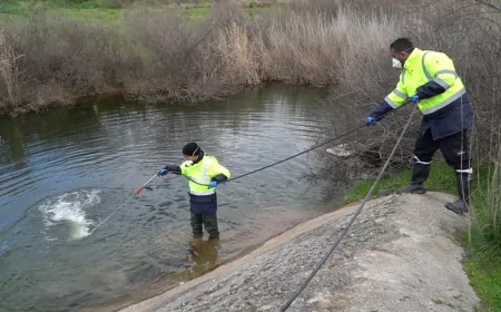 İzmir Büyükşehir Belediyesi, Sivrisinek ve Haşereyle 12 Ay Boyunca Mücadele Ediyor