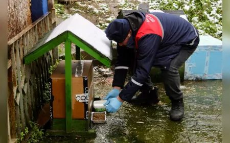 Giresun Belediyesi Sokak Hayvanlarına Mama Desteği Sağladı