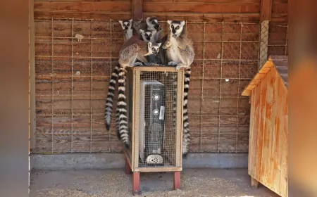 Antalya Doğal Yaşam Parkı’nda Soğuk Hava Önlemleri