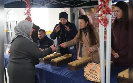 Tohum Takas Günleri Başladı