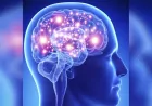 Beynin Kendini İyileştirme Yeteneği Öğrenme Güçlüğüne Umut Oluyor