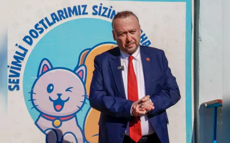 Başkan Yalım’dan Sokak Hayvanlarına Sahiplenme Çağrısı