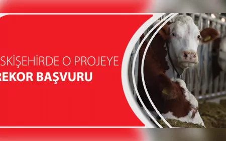 Eskişehir'de "Kırsalda Bereket Hayvancılığa Destek Projesi"ne Rekor Başvuru