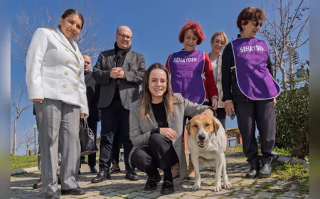 İzmir Büyükşehir Belediyesi'nden Sahipsiz Canlara Destek: Patili Dost Sahiplenmeye Davet