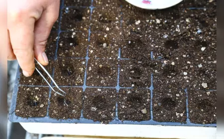 Antalya’nın Caddeleri Baharda Rengârenk Olacak